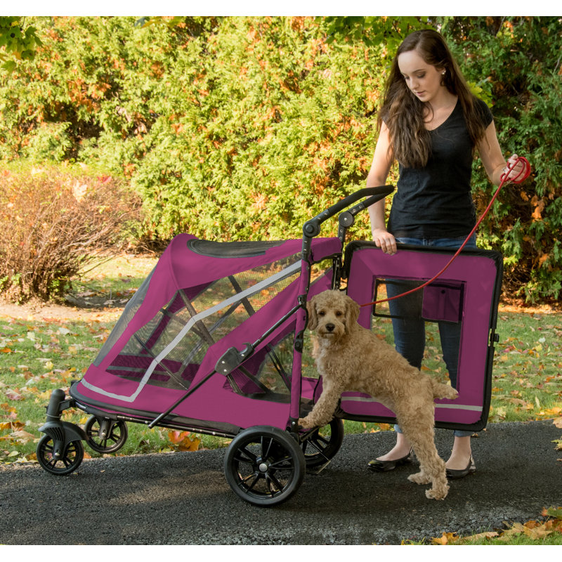 Pet Gear Expedition No Zip Standard Stroller & Reviews Wayfair